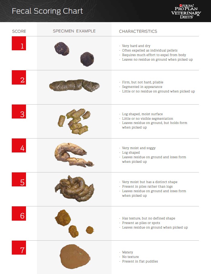 Fecal Scoring Chart